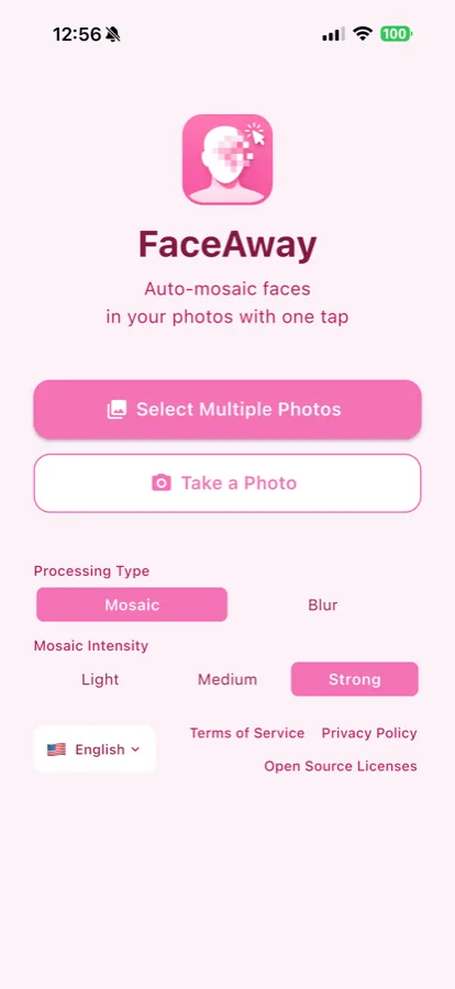 faceaway media preview 1